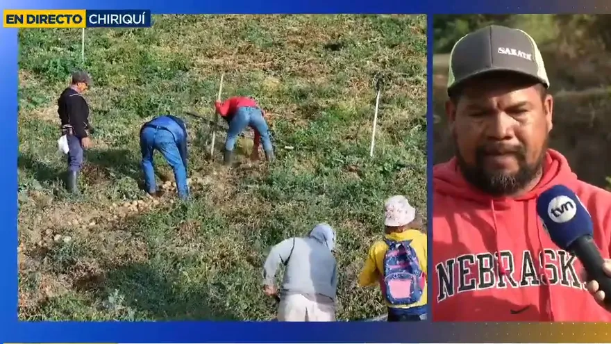 Productores de Tierras Altas opinan sobre los precios de los alimentos en la capital