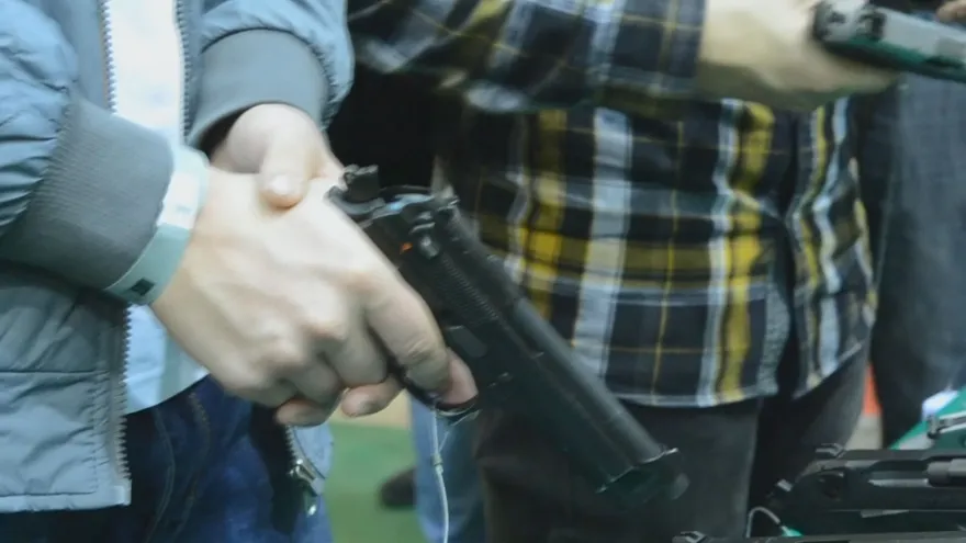 Arma de fuego. Imagen ilustrativa.