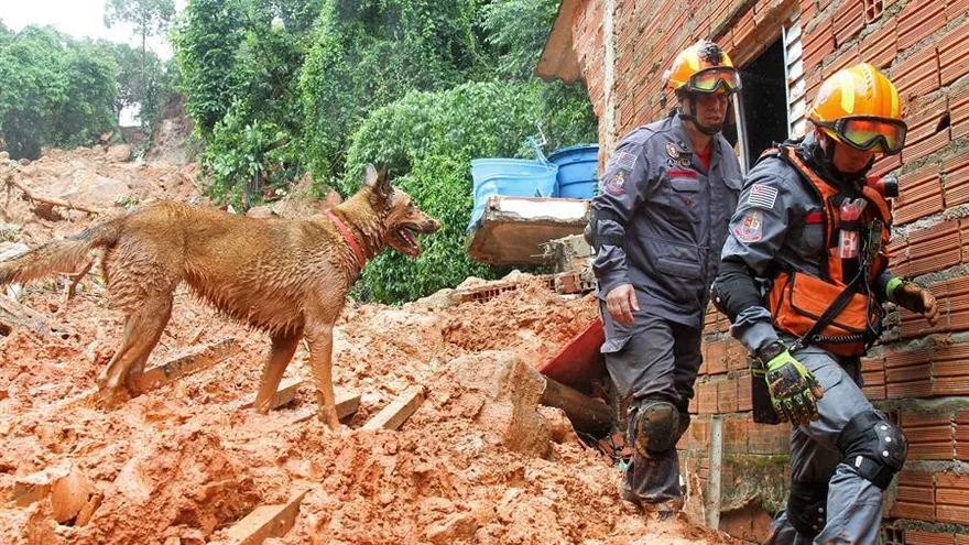 Vista este martes de un bombero buscando a los desaparecidos tras el derrumbe en el "Morro do Macaco Molhado", en Guarujá (Brasil)