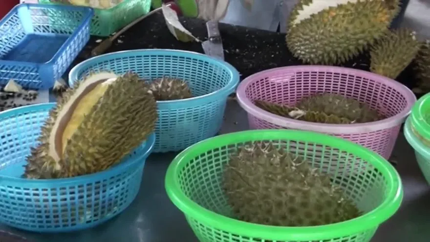 El durian, la fruta de olor sulfuroso que levanta odios y pasiones en Asia