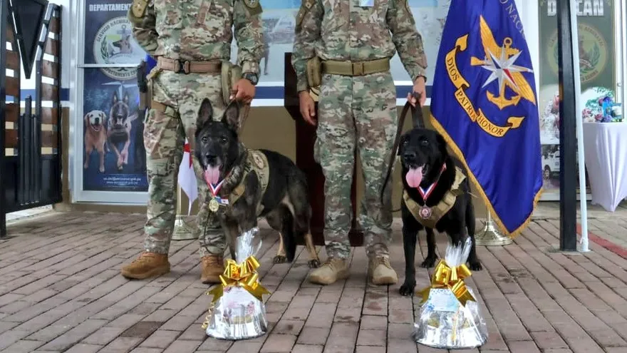 El Servicio Aeronaval de Panamá realizó este martes la Primera Ceremonia de Jubilación K9 en el marco de su 17 aniversario, donde dos perros de trabajo, Black y Karina, fueron oficialmente retirados del servicio activo tras una destacada carrera en operaciones antinarcóticos y de seguridad nacional.