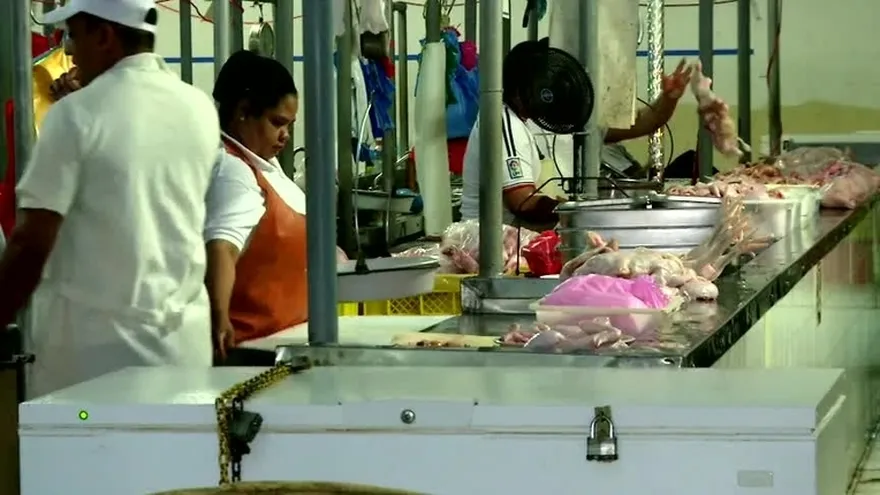 Panameños que trabajan en el San Felipe Neri