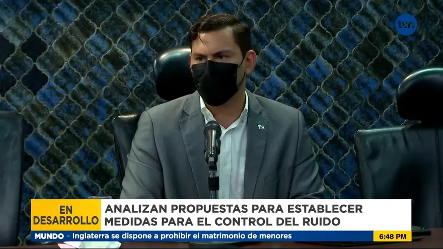 Subcomisión analiza proyectos de ley para controlar el ruido