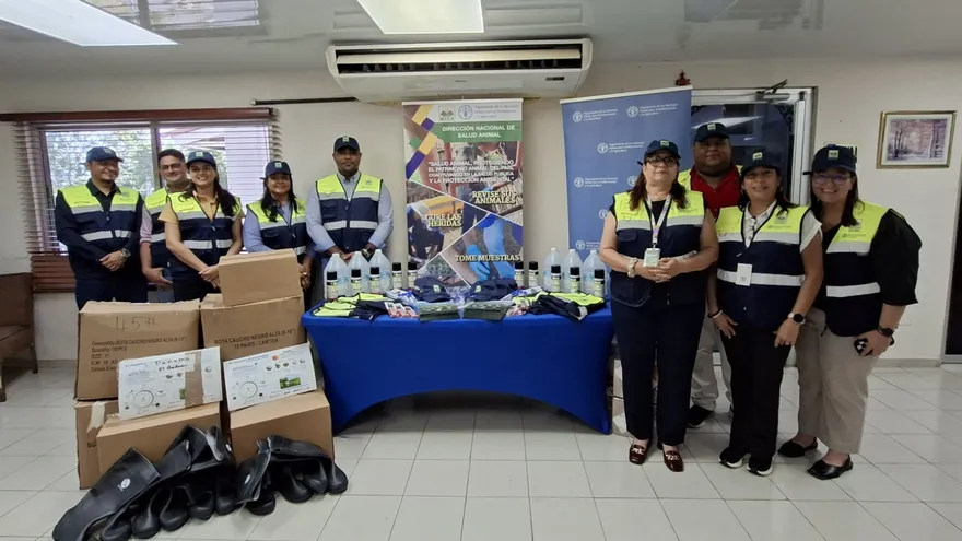 El Ministerio de Desarrollo Agropecuario (MIDA) recibió un lote de insumos donados por la Organización de las Naciones Unidas para la Alimentación y la Agricultura (FAO) para fortalecer las labores de vigilancia, prevención y control del gusano barrenador del ganado, una enfermedad que representa una amenaza para la producción pecuaria en Panamá y otros países de Mesoamérica.