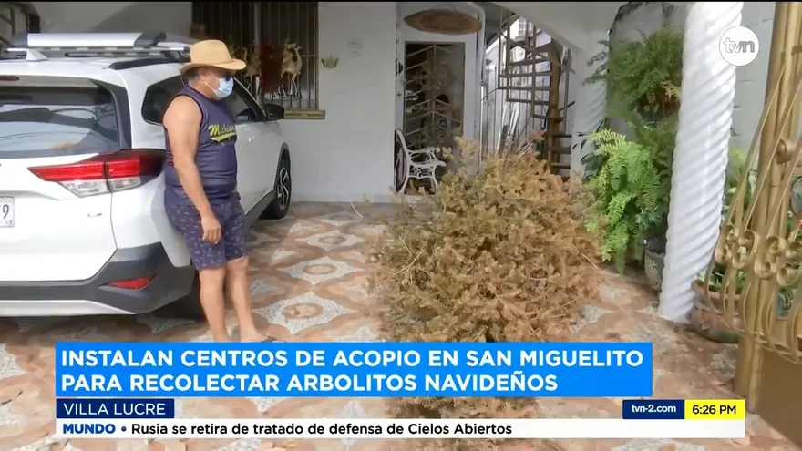 Colocan centro de acopios para desechar arbolitos navideños