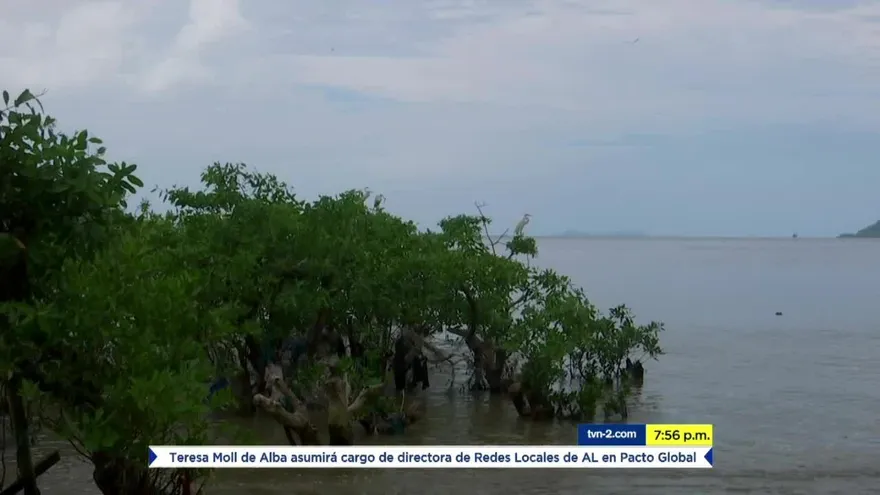 Mundo Verde: Colón, reconstruyendo la vida marina