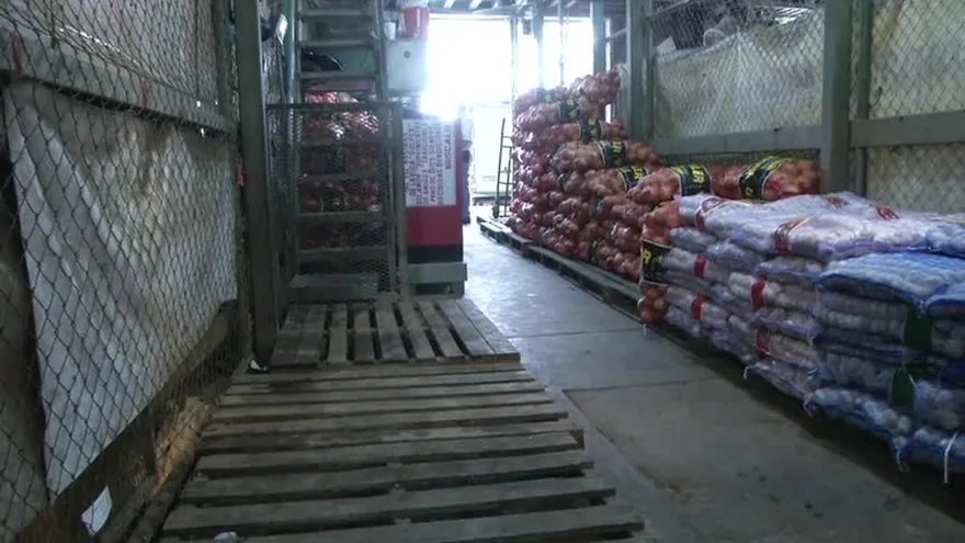 Cebollas que llegaron de Estados Unidos, no son suficientes