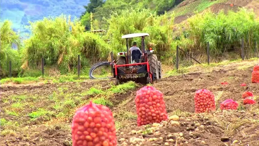 Momentos noticiosos 2015- Parte IV