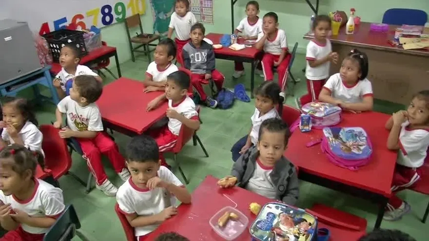 Lo que debe llevar un niño de prekinder en su lonchera