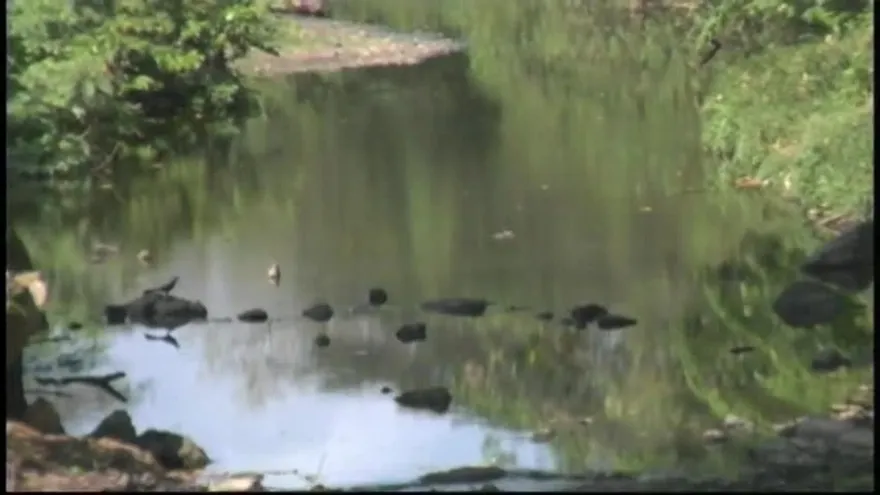 Continúa conflicto en Las Tablas