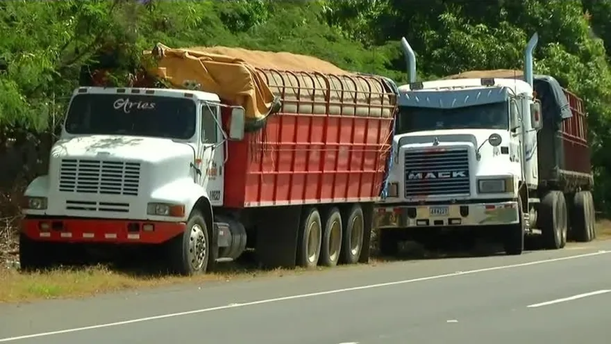 Crece incertidumbre entre los productores de arroz en Los Santos