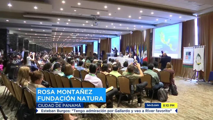 Hallan nuevas especies en parques naturales de Darién y Chagres