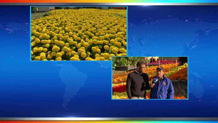 Quiénes preparan los jardines en la Feria de Boquete