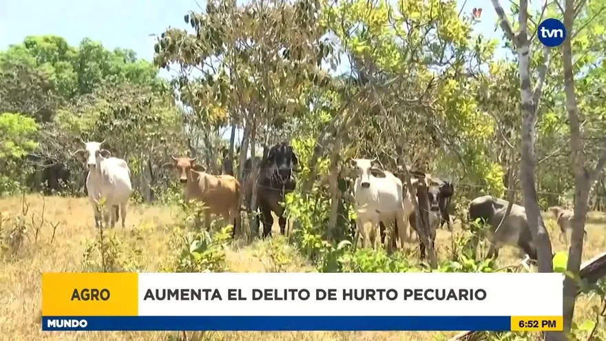 Delito de cuatrerismo ha ido en aumento