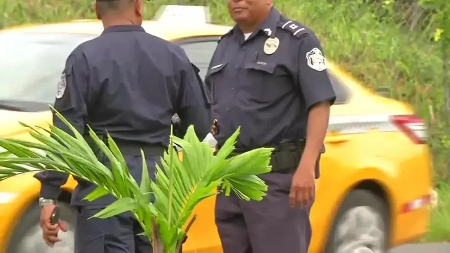 Individuos armados robaron en un colegio en La Chorrera
