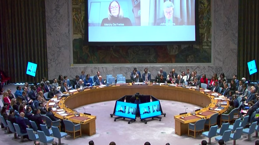 Consejo de Seguridad de la ONU