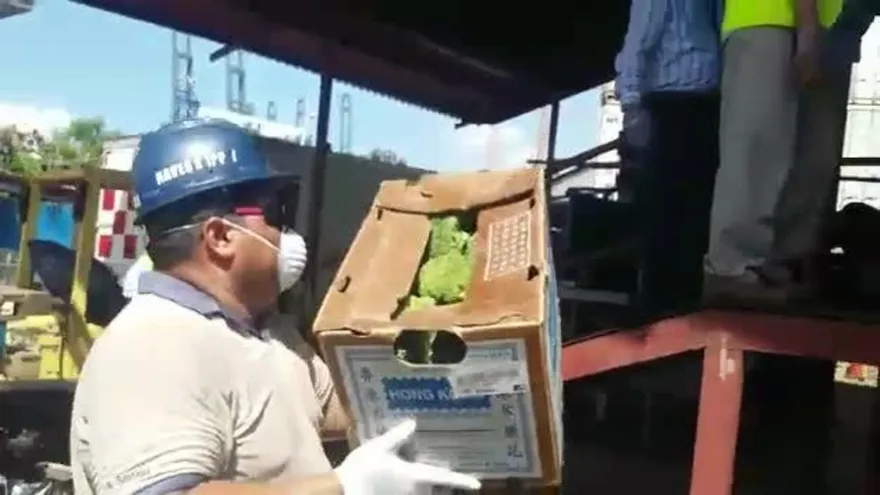 Aupsa decomisa vegetales en mal estado