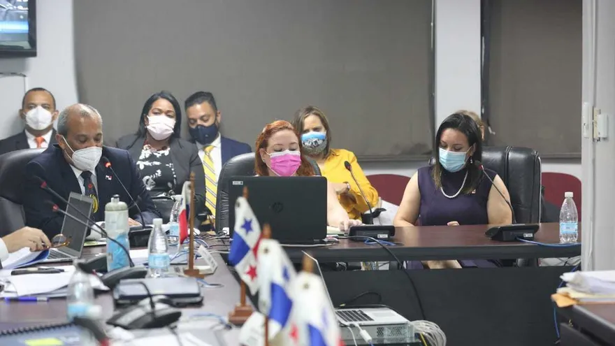 Ministro Milciades Concepción sustenta presupuesto.