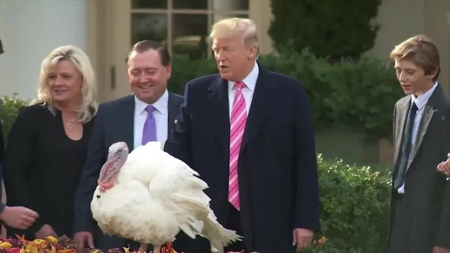 Trump cumple con la tradición del indulto al pavo antes de Acción de Gracias