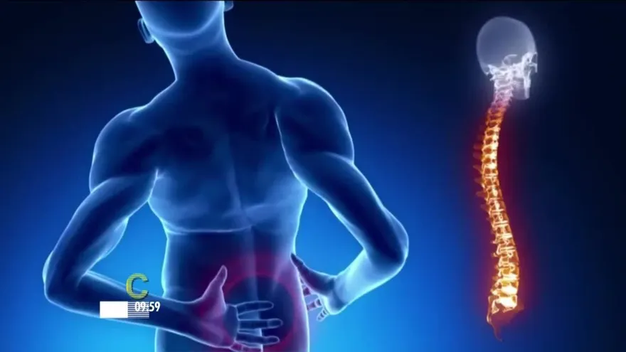 ¿Sufres de dolores en la espalda? ¿Cuáles son sus causas?