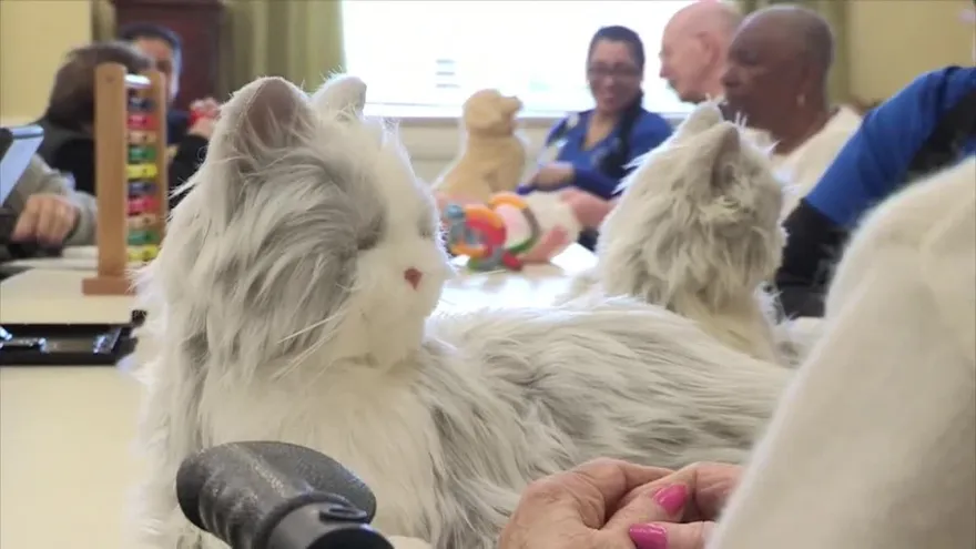 Animales robóticos, terapia para la soledad