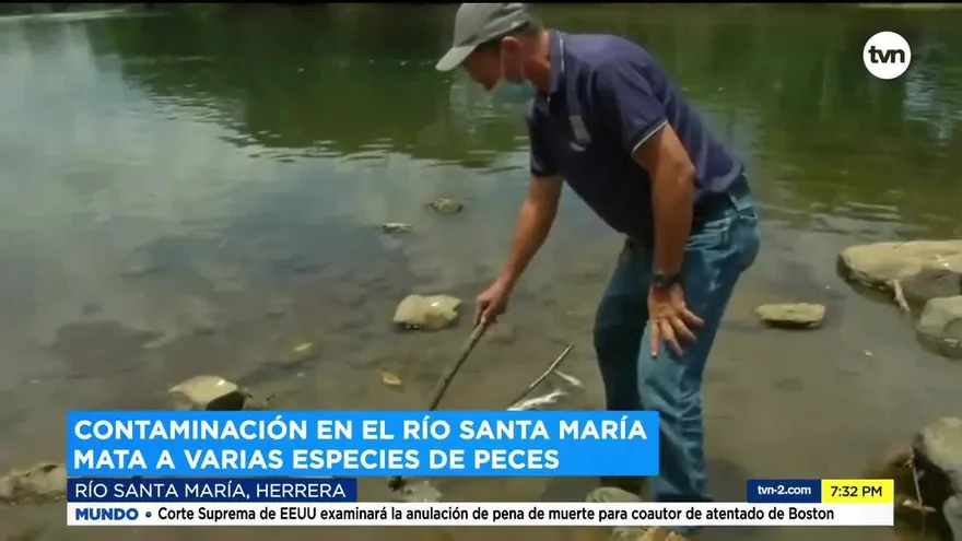 Miles de peces murieron en el río Santa María