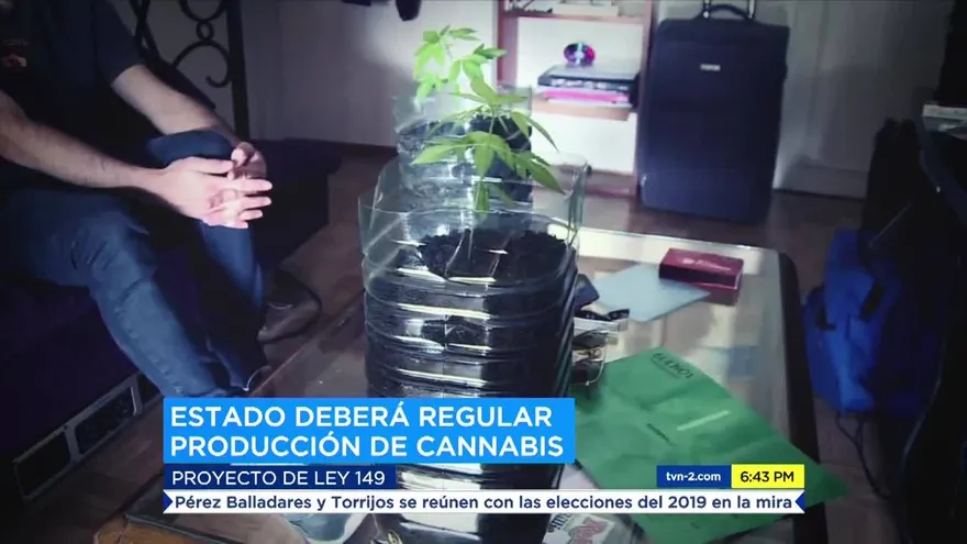 Sigue la polémica por ley sobre el Cannabis