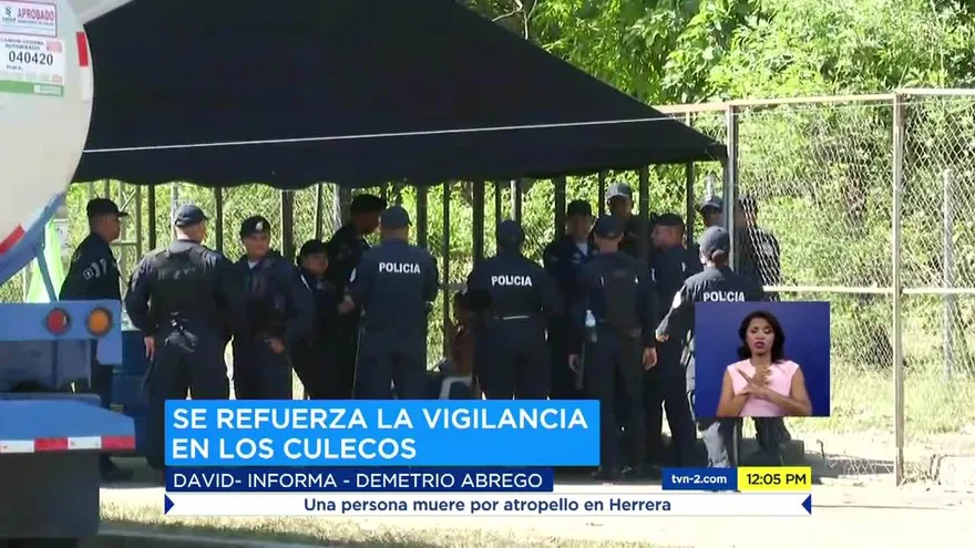 Culecos en Chiriquí se  desarrollan en orden