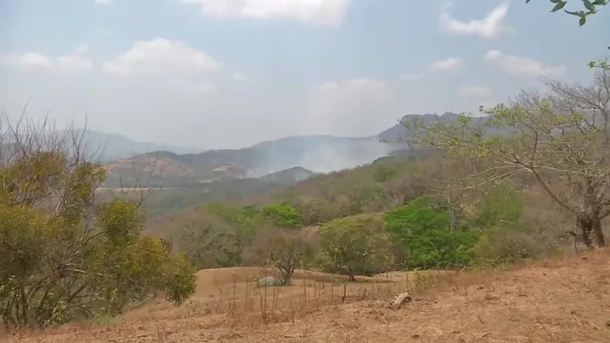 Incendio afecta 10 hectáreas en Cerro Campana