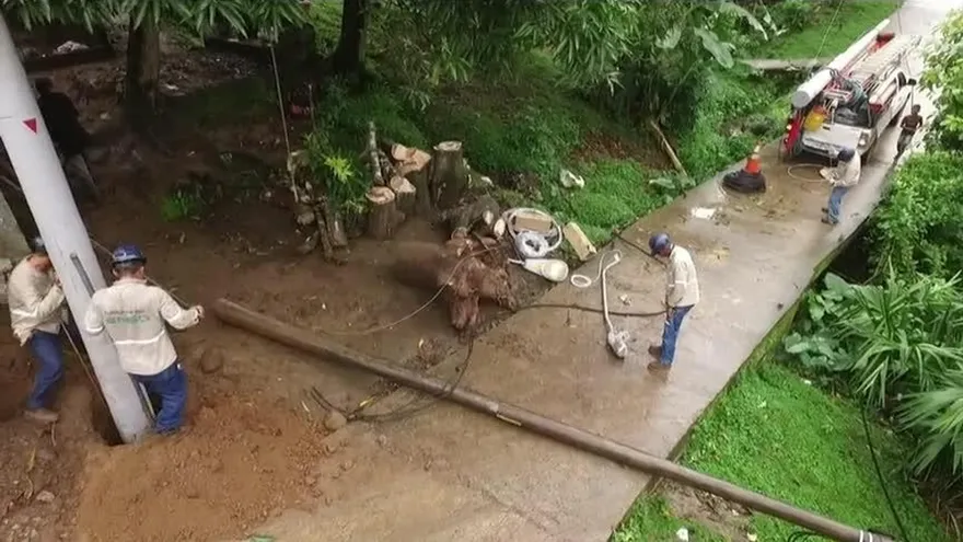 Árbol cae sobre residencia en El Valle de Urracá