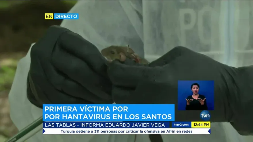 Reportan la primera víctima de hantavirus en Los Santos