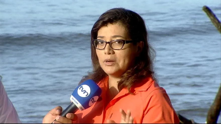Zuleyka Pinzón, Ministerio de Ambiente