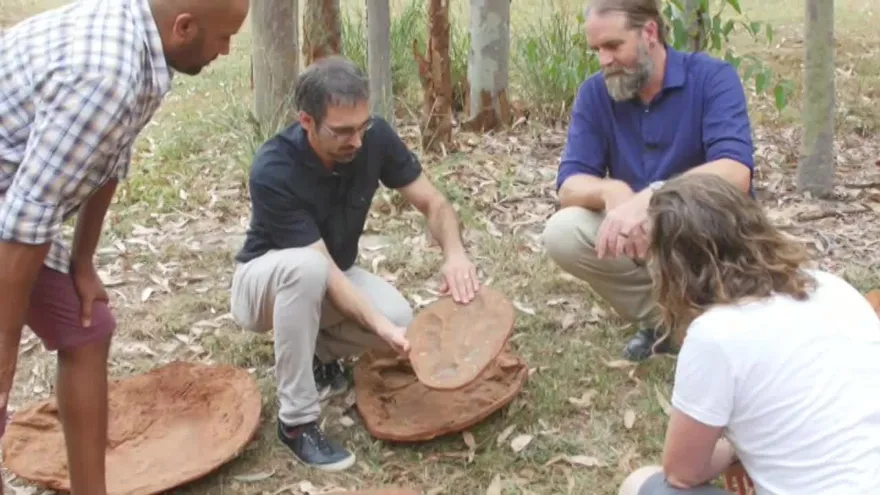 Identificadas 150 huellas de 21 especies de dinosaurios en Australia