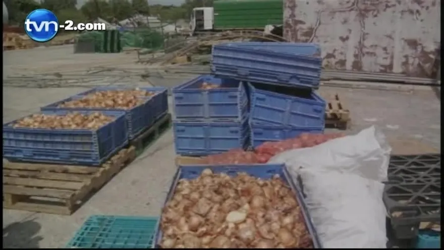 Por deterioro, entierran alimentos en IMA de Santiago