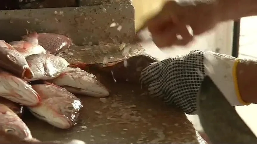 Aumento en precios del Marisco