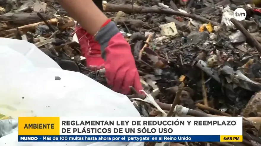 Reglamento ley sobre plásticos de un solo uso