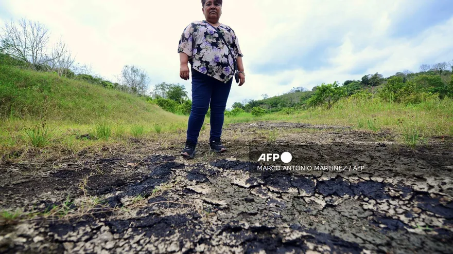 Gloria Domínguez Castillo se encuentra en sus campos, contaminados por la fracturación hidráulica, en la comunidad de Rafael Rosas, en Papantla, estado de Veracruz, el 11 de abril de 2026.