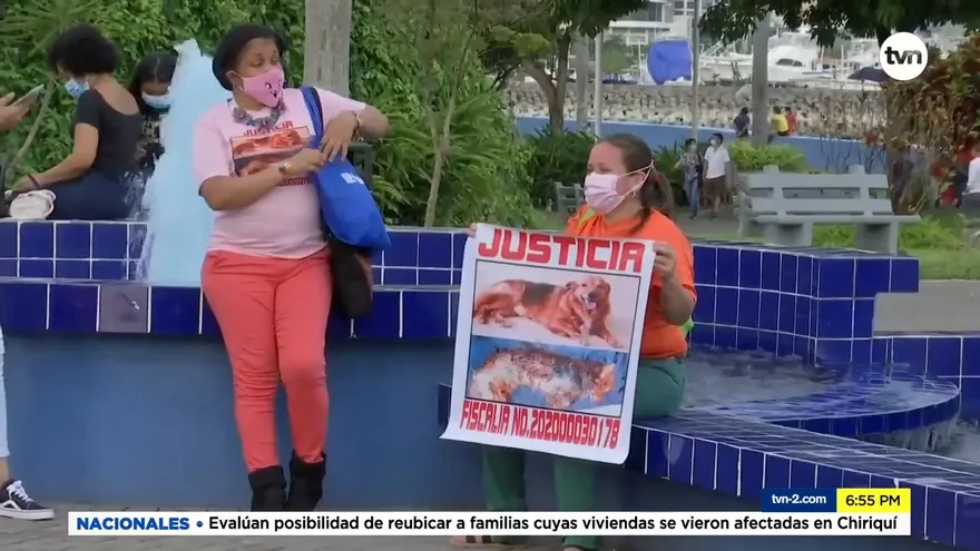 Activistas protestan por maltrato animal