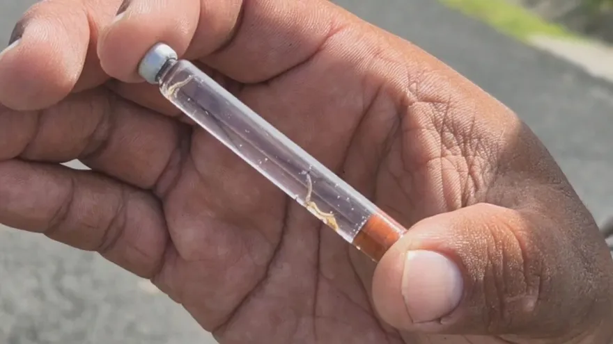 Muere niña de un año en Bocas del Toro; cuarta víctima por dengue en la provincia.