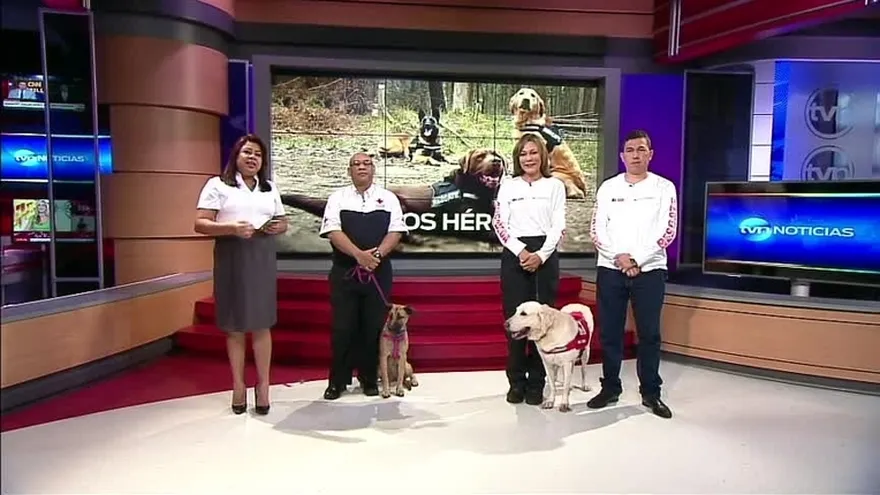 Panamá, sede del VII Encuentro de Perros de Rescate