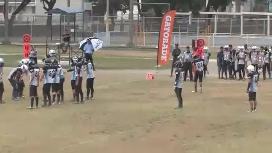 Jamboree- Vikings Vs Dragons