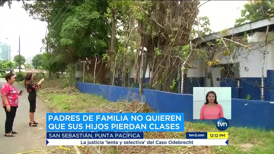 Padres de familia de escuela en la ciudad preocupados por árboles enfermos
