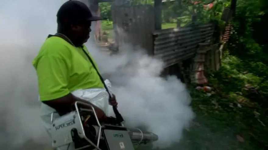 Realizan jornada de fumigación en Panamá Este