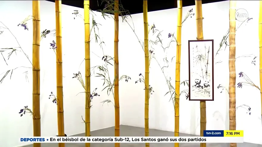 Museo de Arte Contemporáneo presenta exposición internacional