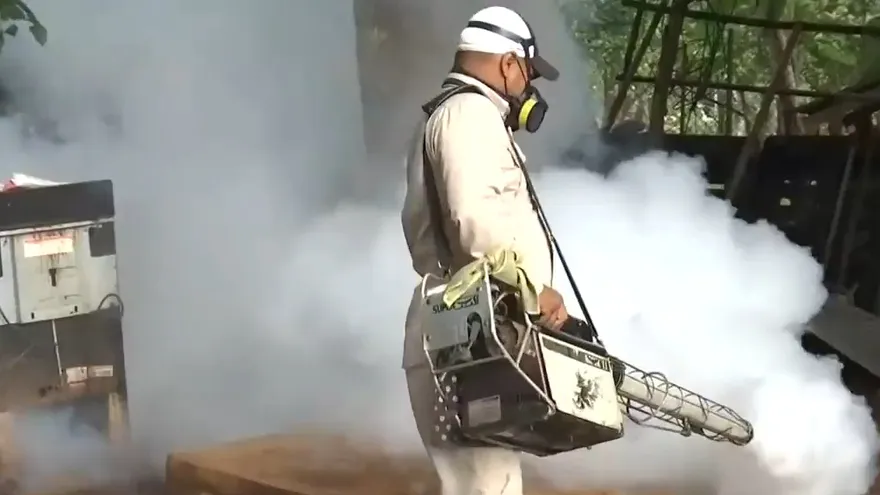 Autoridades en alerta por casos de dengue en San Miguelito