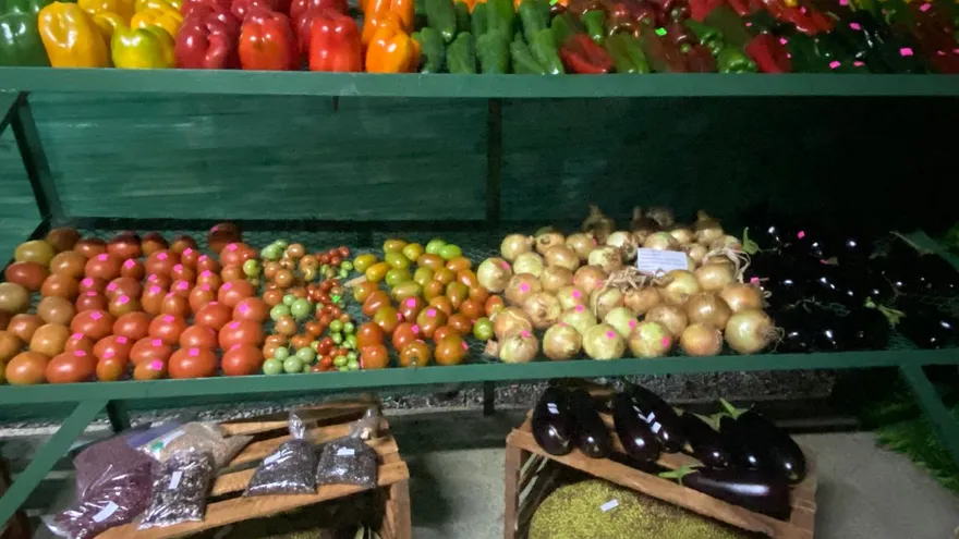 Las autoridades nacionales participan en el acto inaugural de la Expo Bugaba 2026, que será realizada en La Concepción, distrito de Bugaba.