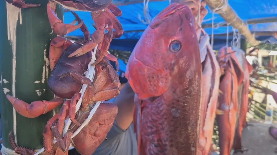 Pixvaeños celebran la Feria del Mar en Veraguas