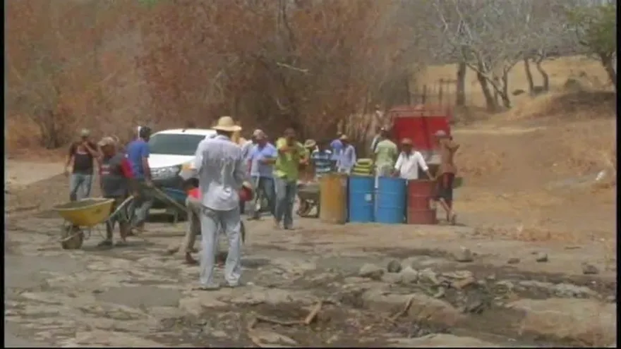 Sequía en Azuero obliga a cocodrilos a abandonar su hábitat