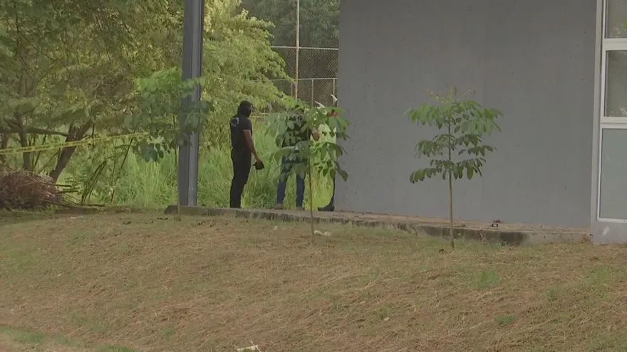 Fiscalía investiga posible homicidio tras hallazgo de cuerpo en lote baldío en Don Bosco.