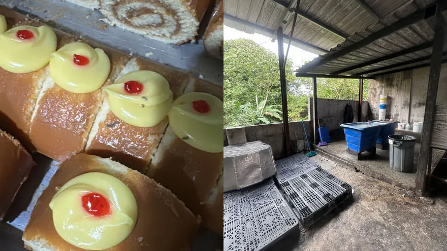 Cierran distribuidora ilegal de panes y dulces en La Chorrera; decomisan cerca de 3 toneladas de productos.
